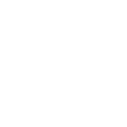 BCG - The Boston Consulting Group